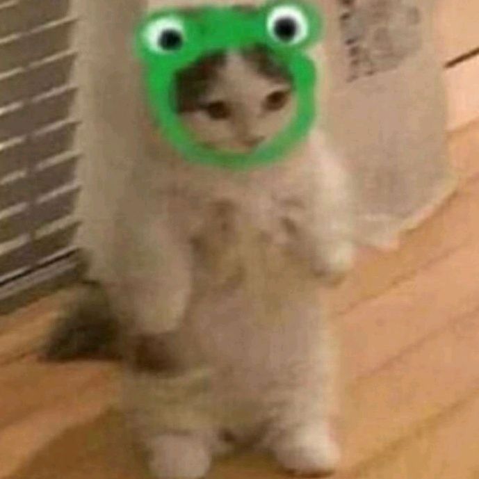 Hire ......radise influencer with 77.1k