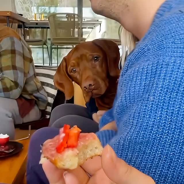  ........malsgram   'recent posts' 