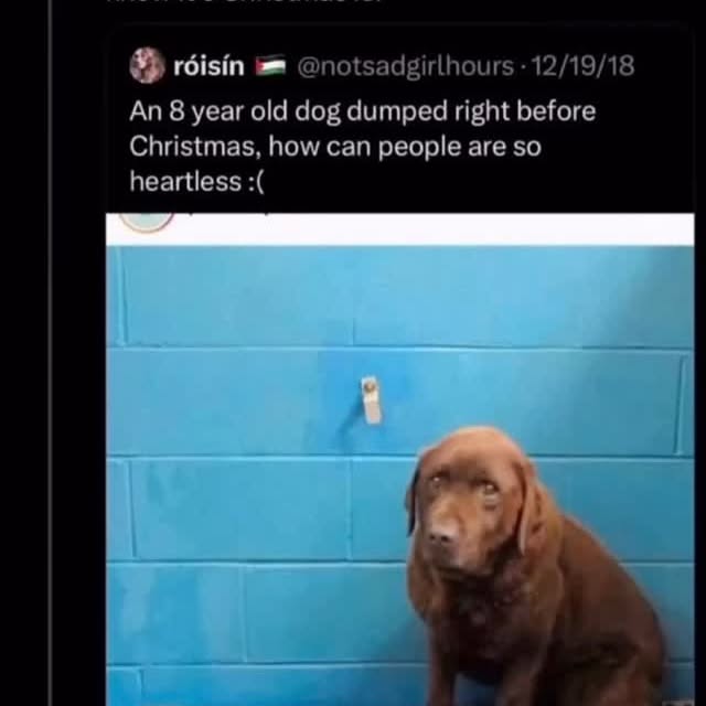  ....memes   'recent posts' 