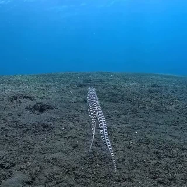  ........unlocked   'recent posts' 