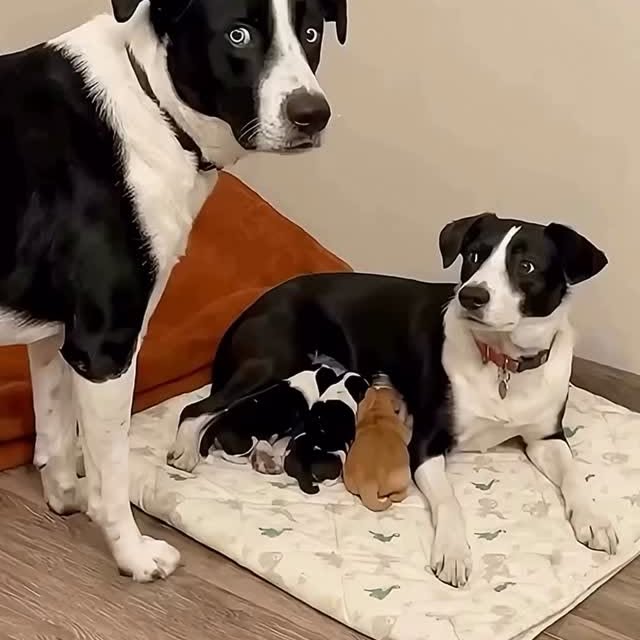  ...urre   'recent posts' 