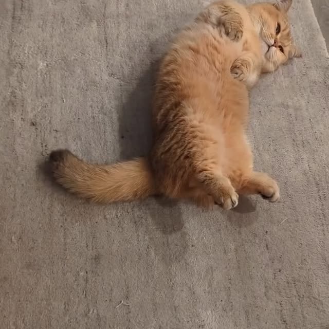  .....li9ht   'recent posts' 