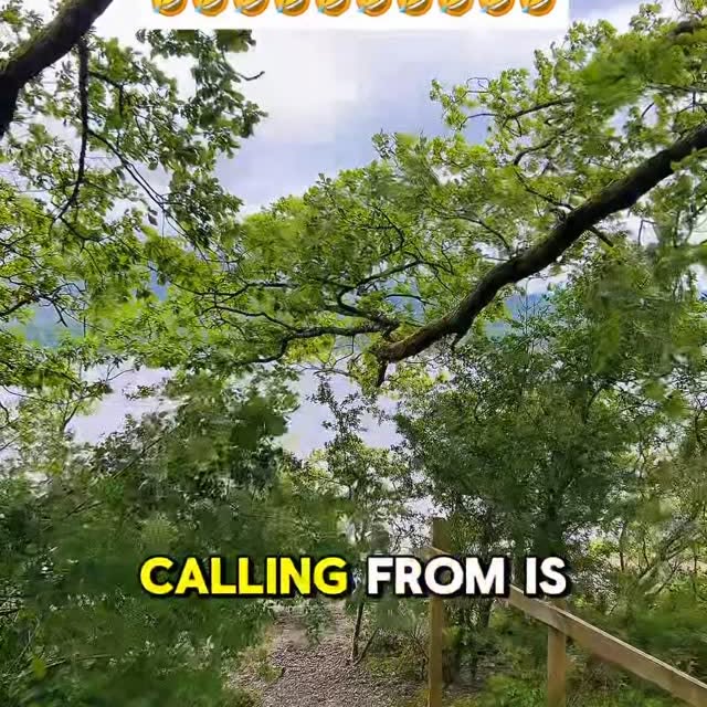  ........ank__call   'recent posts' 