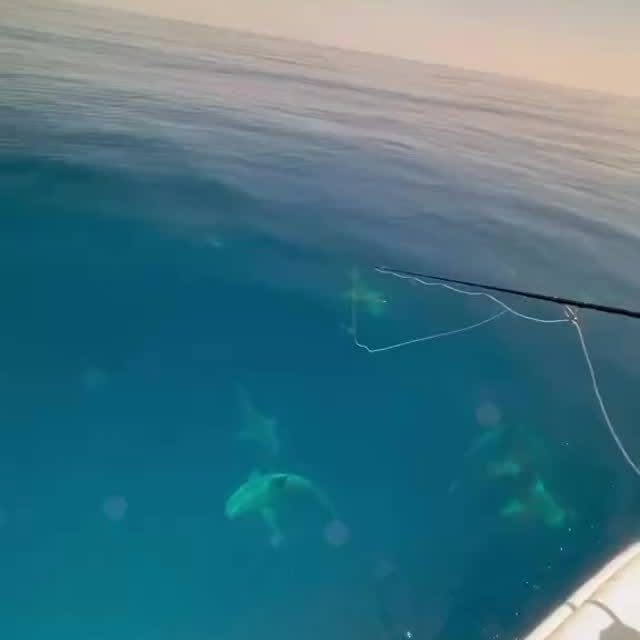  .........arkattacks   'recent posts' 