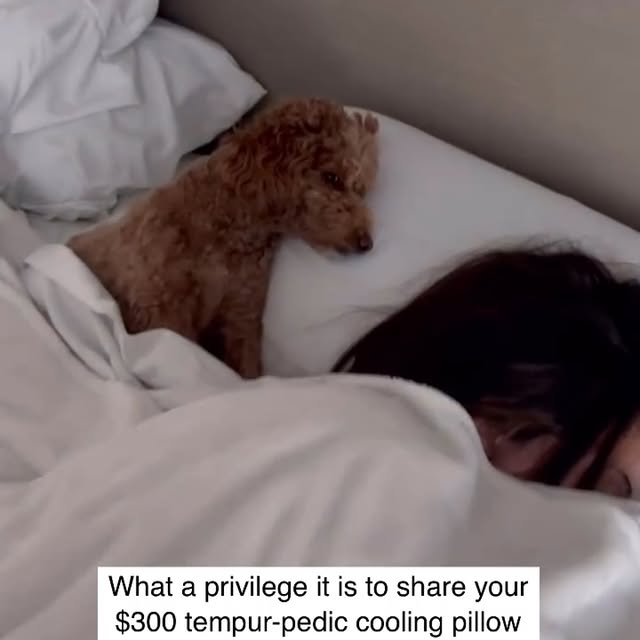  .....overs   'recent posts' 