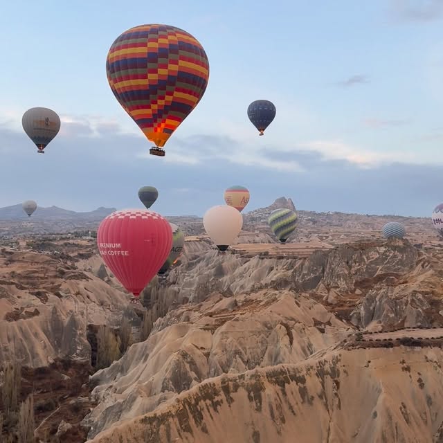  ......valdes   'recent posts' 