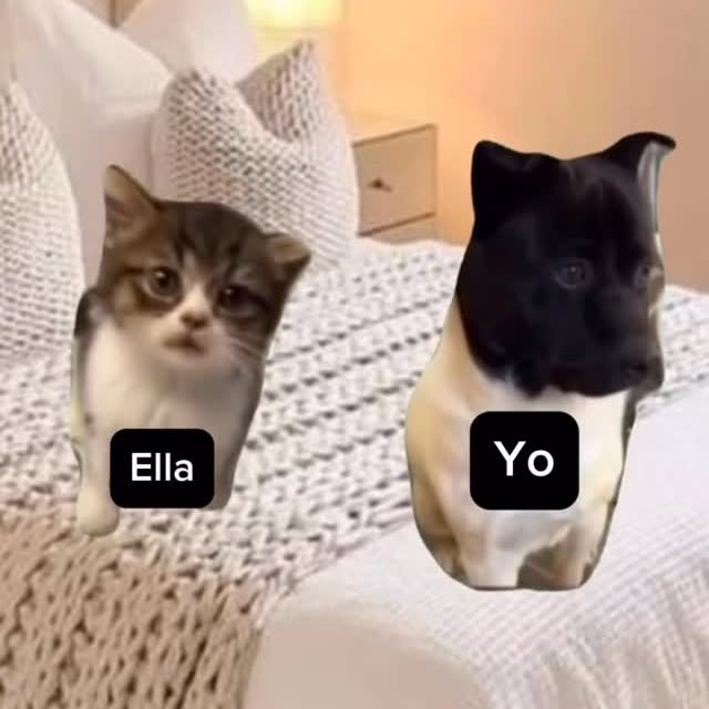  ....jases   'recent posts' 