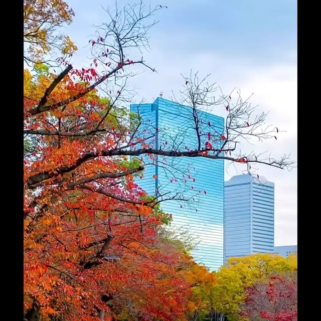  ........slibrary   'recent posts' 