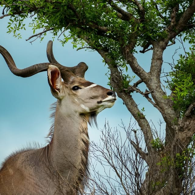  .........._sightings   'recent posts' 