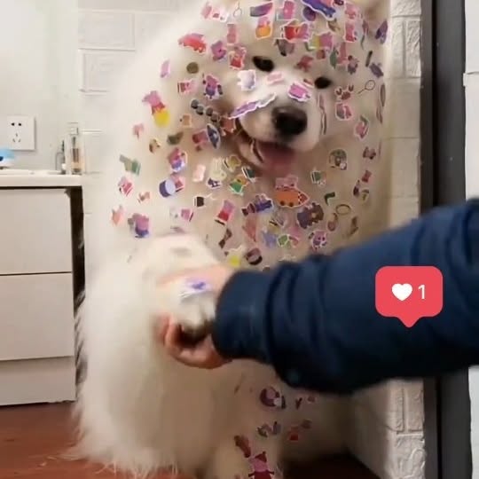  .....ver.gg   'recent posts' 