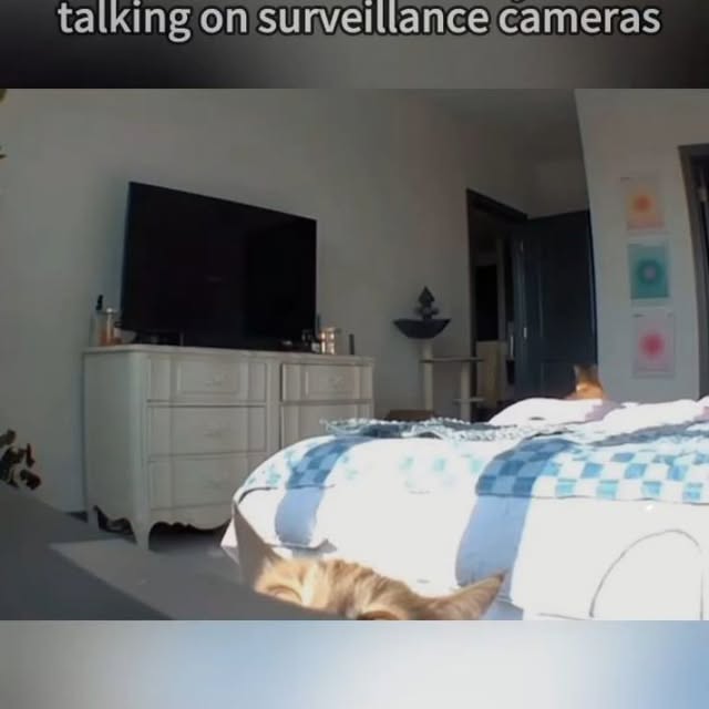  ....360vr   'recent posts' 