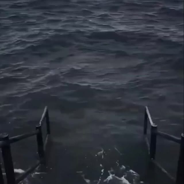  .....meme_s   'recent posts' 