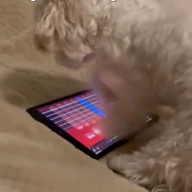  ....lmeme   'recent posts' 