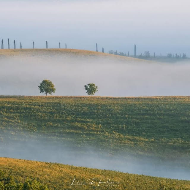  .......o.papera   'recent posts' 