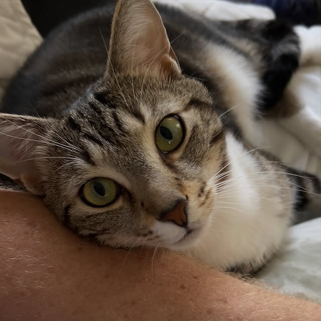  ......adamus   'recent posts' 