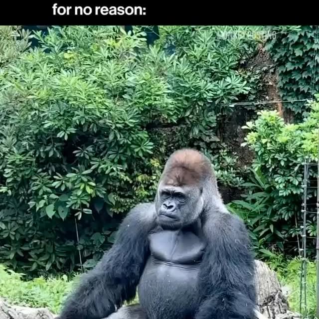  .......posting   'recent posts' 