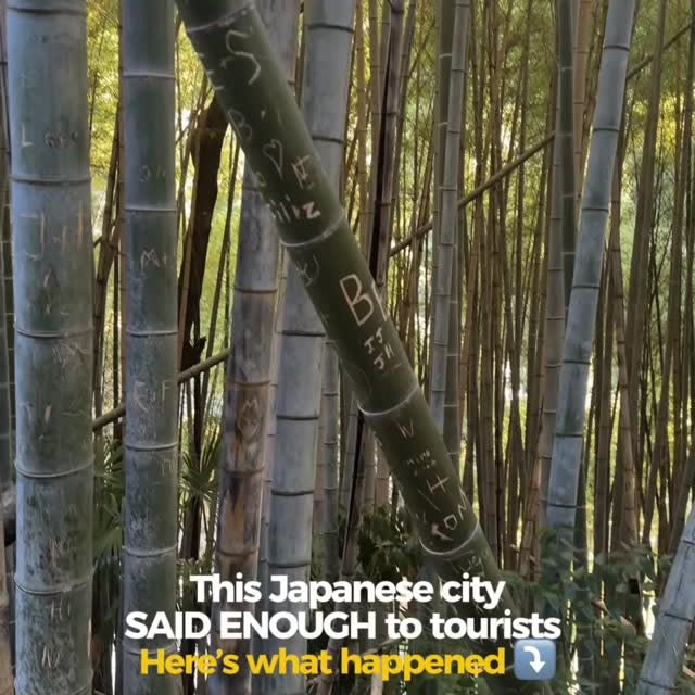  ......belarus   'recent posts' 