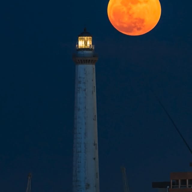  ......assano   'recent posts' 