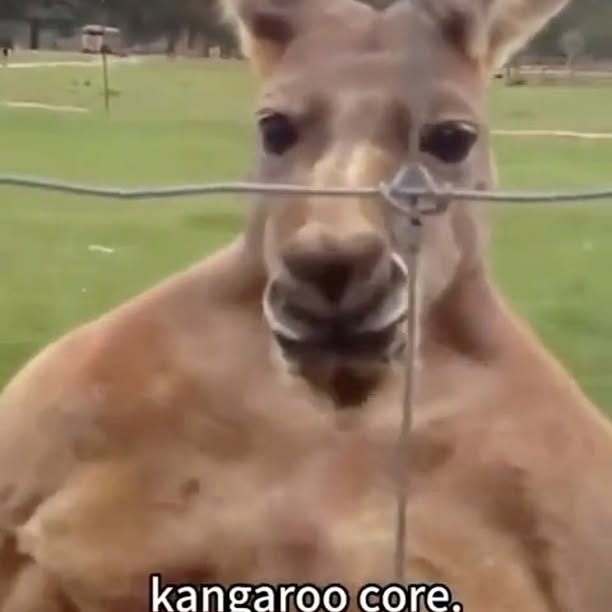  .....rarily   'recent posts' 