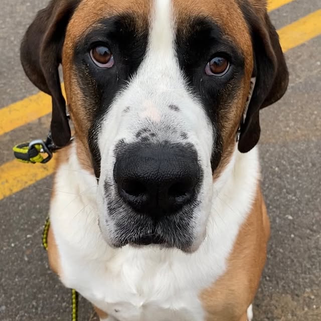  .........intbernard   'recent posts' 