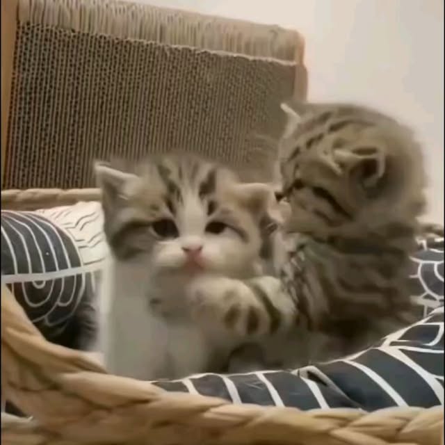  .......uteness1   'recent posts' 