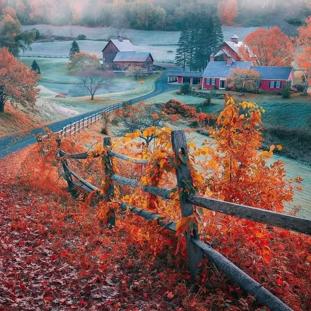  .........tiesdaily   'recent posts' 