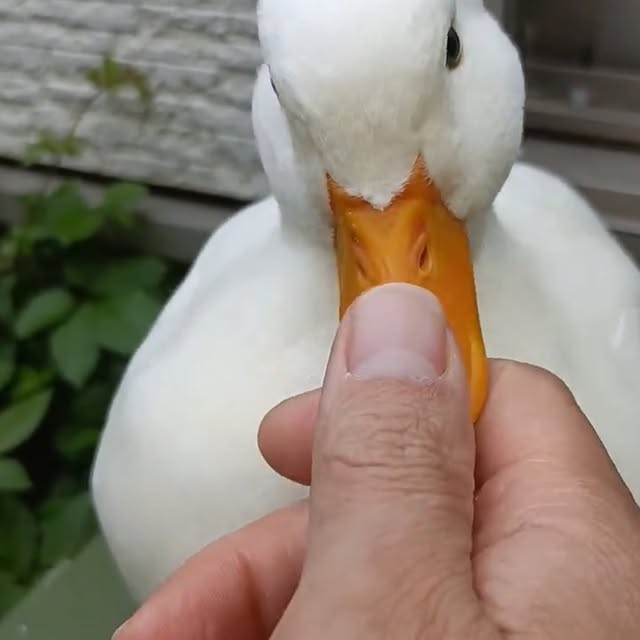  ........ckstatue   'recent posts' 