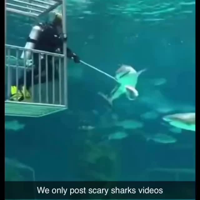  .........arkattacks   'recent posts' 