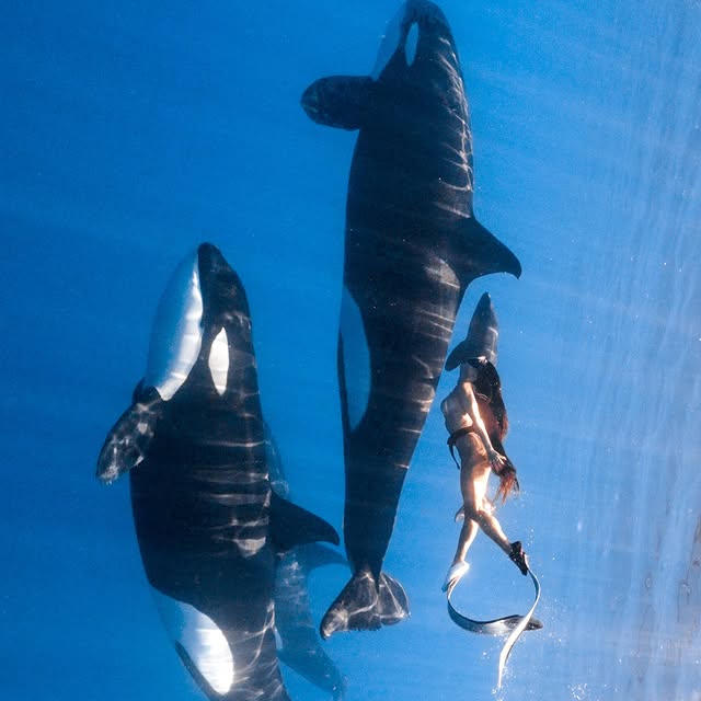  ......uecoast   'recent posts' 