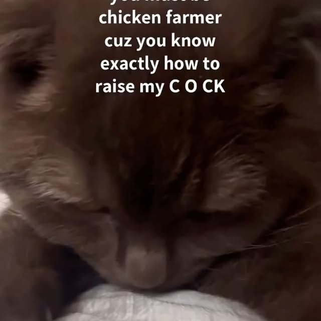  .....li9ht   'recent posts' 