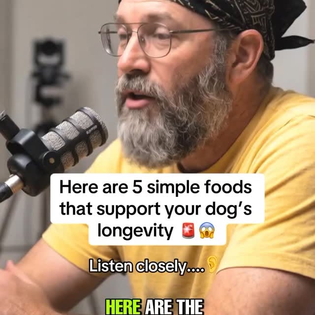  ..........n.retriever   'recent posts' 