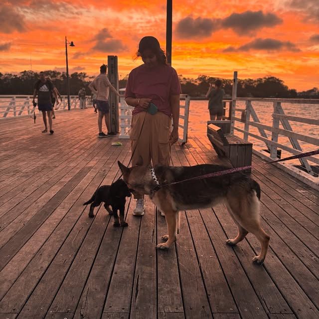  .........vadanvita   'recent posts' 