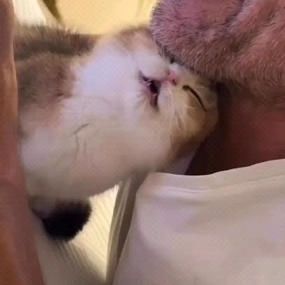  .......lecatss   'recent posts' 