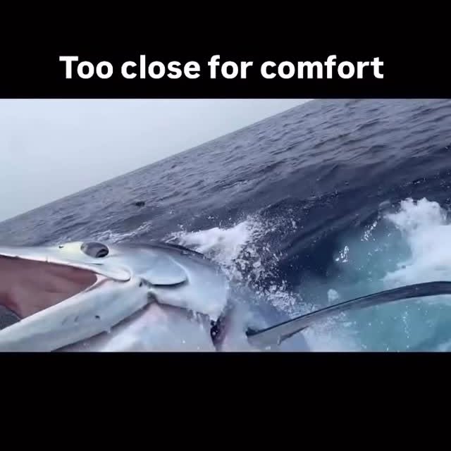  ..........ylefishing   'recent posts' 