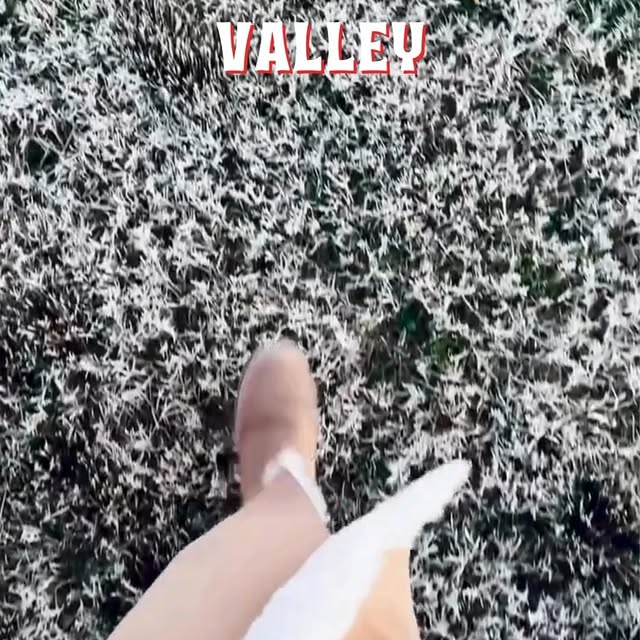  ............ng_gentlemen   'recent posts' 