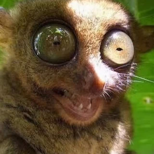  ....vita   'recent posts' 