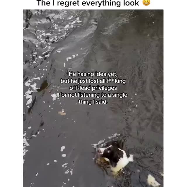  ....ed.d   'recent posts' 