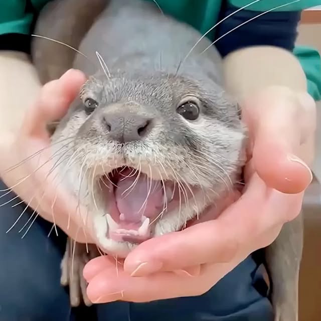  ........malsgram   'recent posts' 