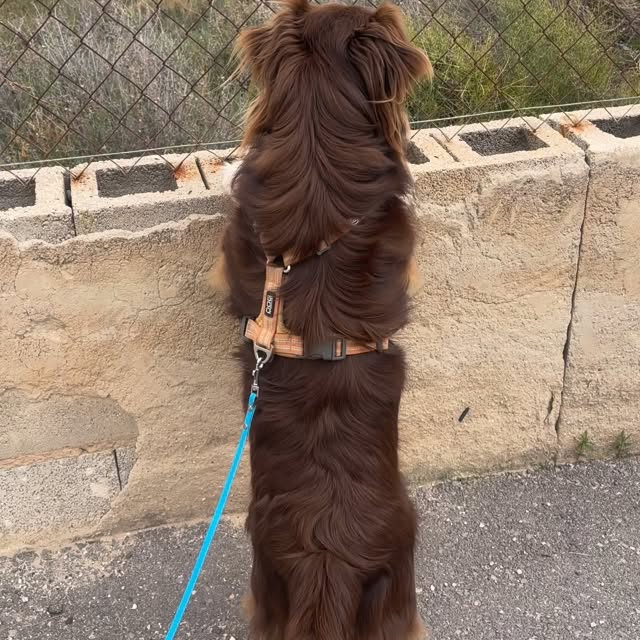  .....og2020   'recent posts' 