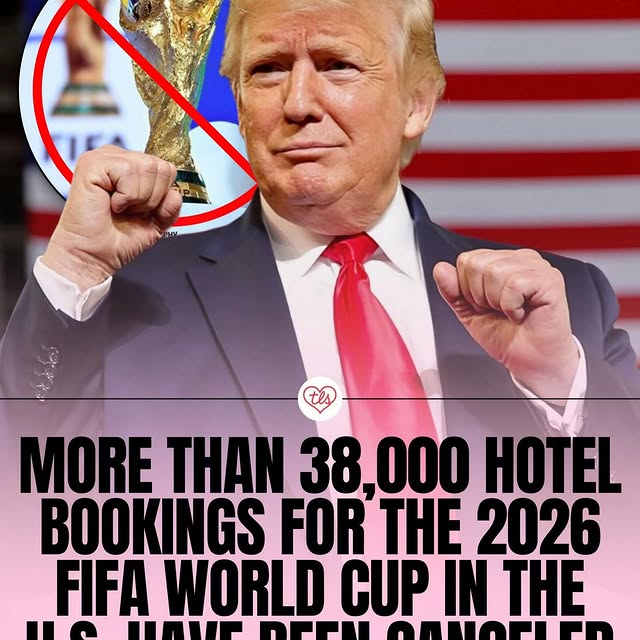  .....vid.s   'recent posts' 