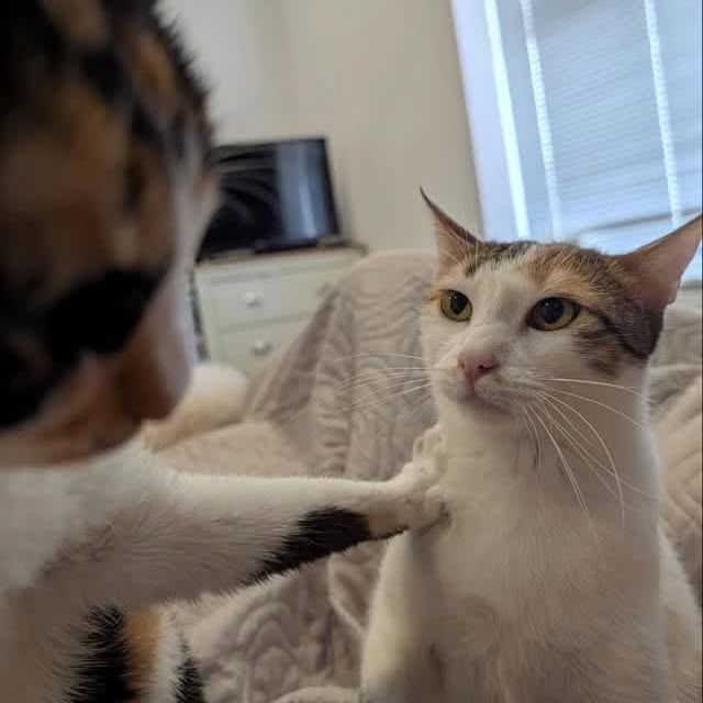  ......nd.kits   'recent posts' 