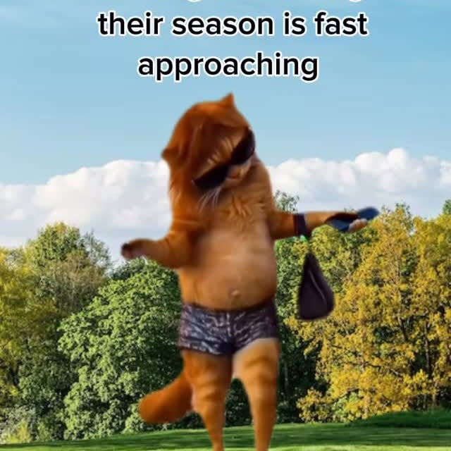  ......forleos   'recent posts' 