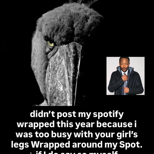  ..........rdoftheday   'recent posts' 