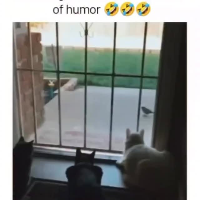  ......ctcars   'recent posts' 