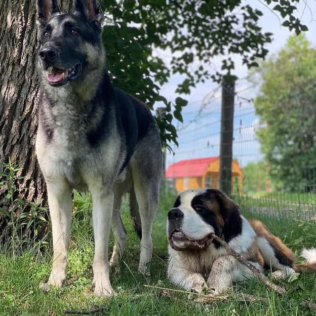  .........intbernard   'recent posts' 