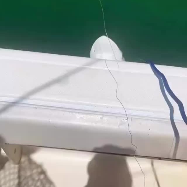  .........arkattacks   'recent posts' 