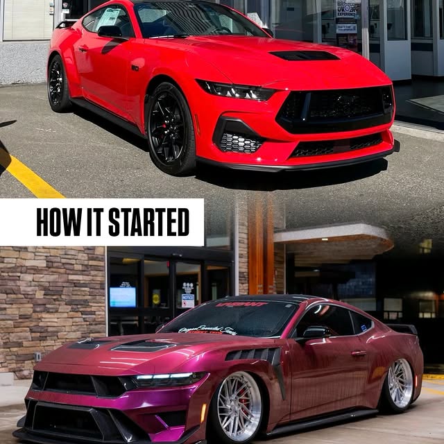  .......fanclub   'recent posts' 