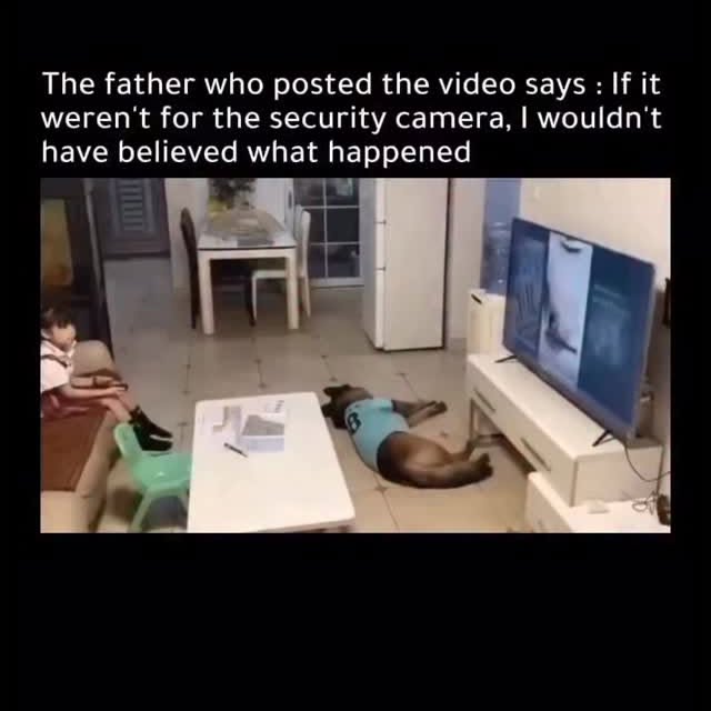  .........onanimals   'recent posts' 