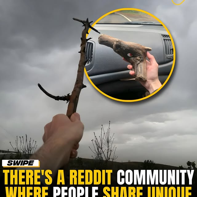  .......onfacts   'recent posts' 