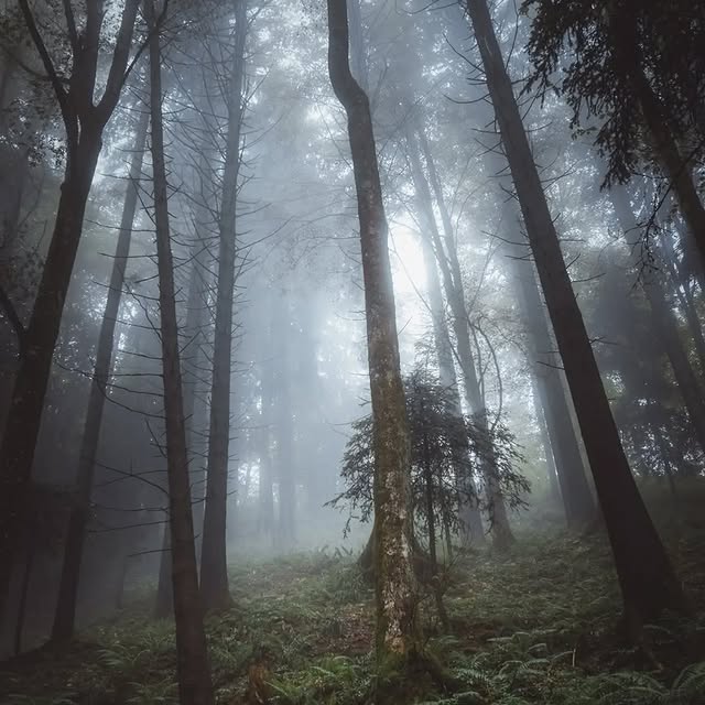  ........vacations   'recent posts' 